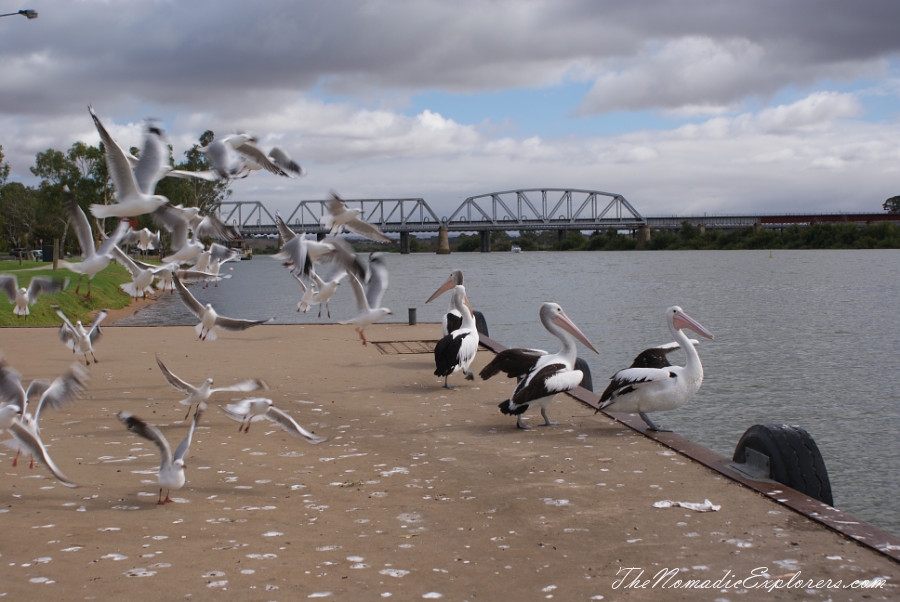 Australia, South Australia, Adelaide City, Adelaide Hills, Fleurieu Peninsula, Murray River, Lakes and Coorong, Adelaide Autumn Solo Trip 2015 - Overview, , 