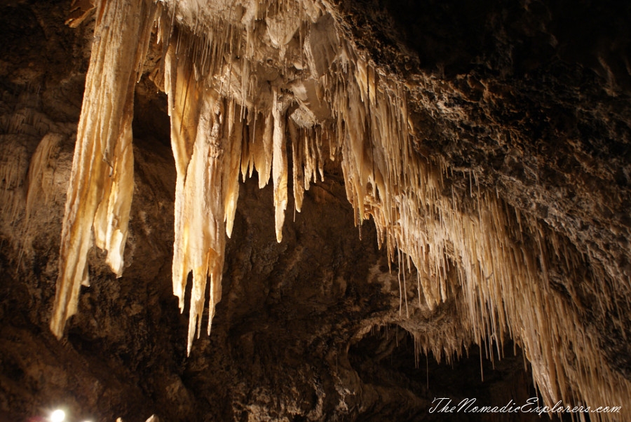 Australia, Tasmania, North West, Tasmania, Day 1. Mole Creek Caves, , 