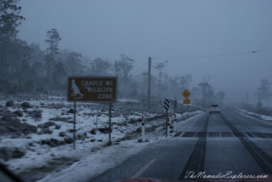 Australia, Tasmania, North West, Tasmania, Day 2. Cradle Mountain - Lake St Clair National Park. ‘Christmas’ in November, Snow, Dove Lake Circuit, , 