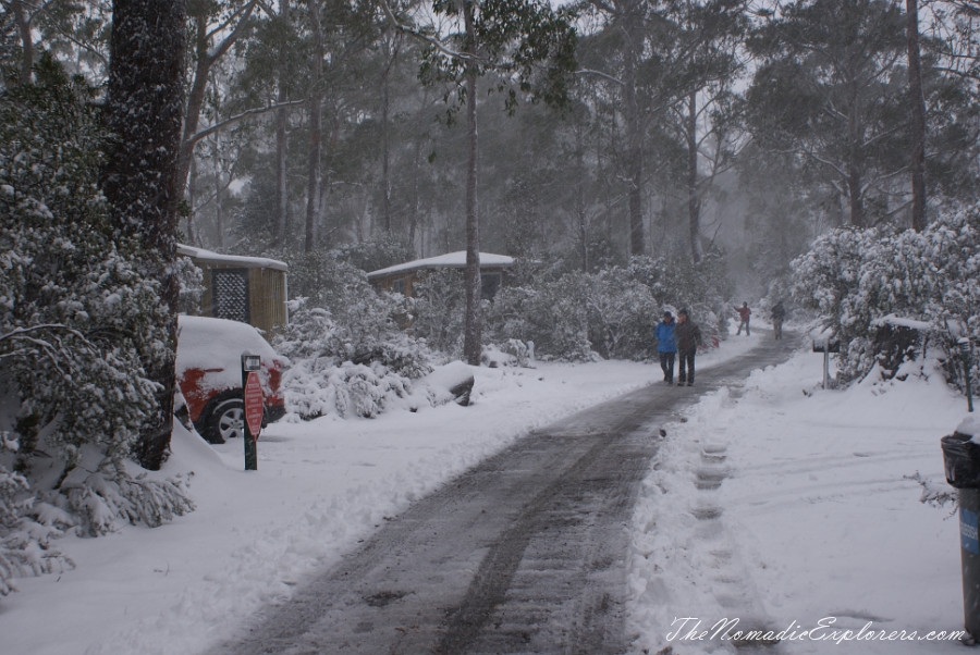 Australia, Tasmania, North West, Tasmania, Day 2. Cradle Mountain - Lake St Clair National Park. ‘Christmas’ in November, Snow, Dove Lake Circuit, , 