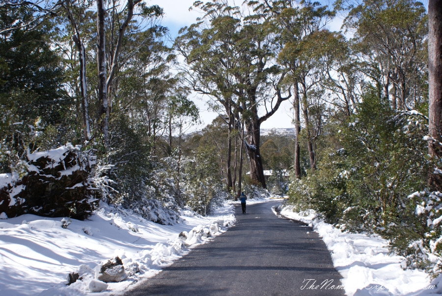 Australia, Tasmania, North West, Tasmania, Day 2. Cradle Mountain - Lake St Clair National Park. ‘Christmas’ in November, Snow, Dove Lake Circuit, , 