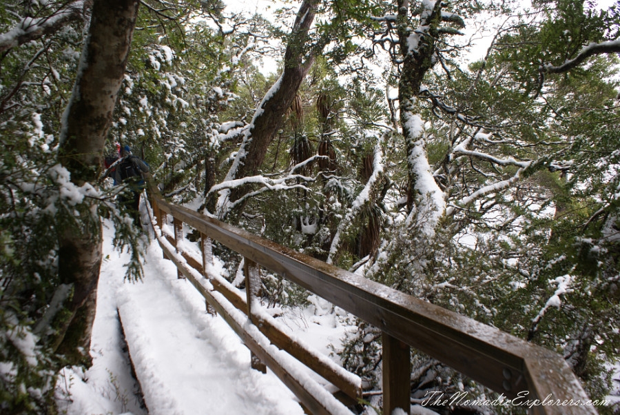 Australia, Tasmania, North West, Tasmania, Day 2. Cradle Mountain - Lake St Clair National Park. ‘Christmas’ in November, Snow, Dove Lake Circuit, , 