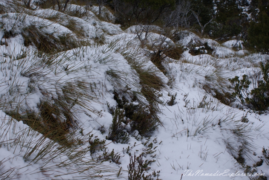 Australia, Tasmania, North West, Tasmania, Day 2. Cradle Mountain - Lake St Clair National Park. ‘Christmas’ in November, Snow, Dove Lake Circuit, , 