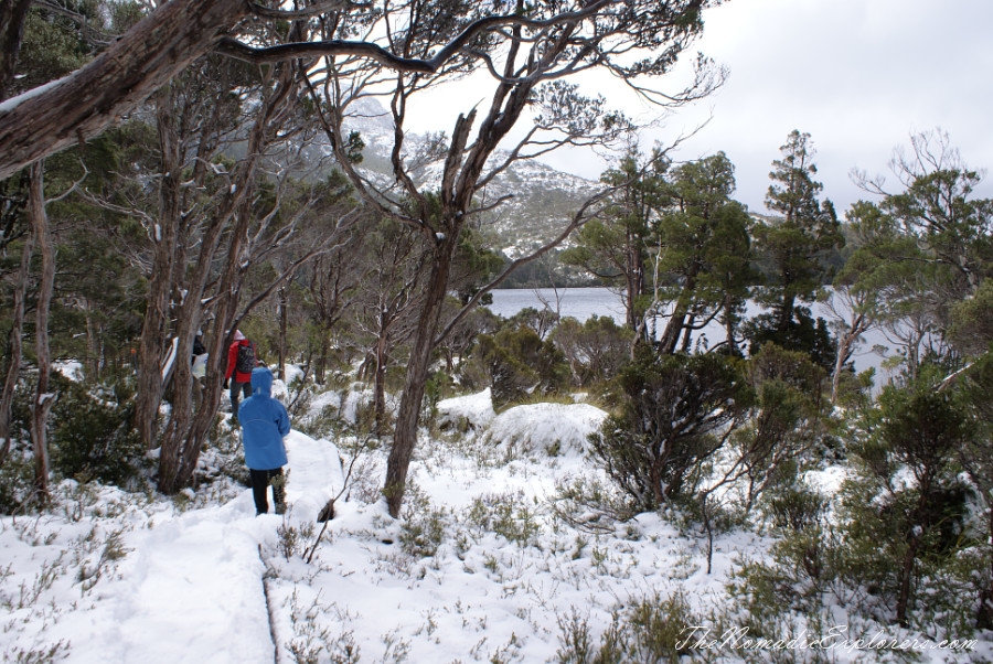 Australia, Tasmania, North West, Tasmania, Day 2. Cradle Mountain - Lake St Clair National Park. ‘Christmas’ in November, Snow, Dove Lake Circuit, , 