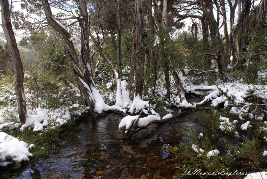 Australia, Tasmania, North West, Tasmania, Day 2. Cradle Mountain - Lake St Clair National Park. ‘Christmas’ in November, Snow, Dove Lake Circuit, , 