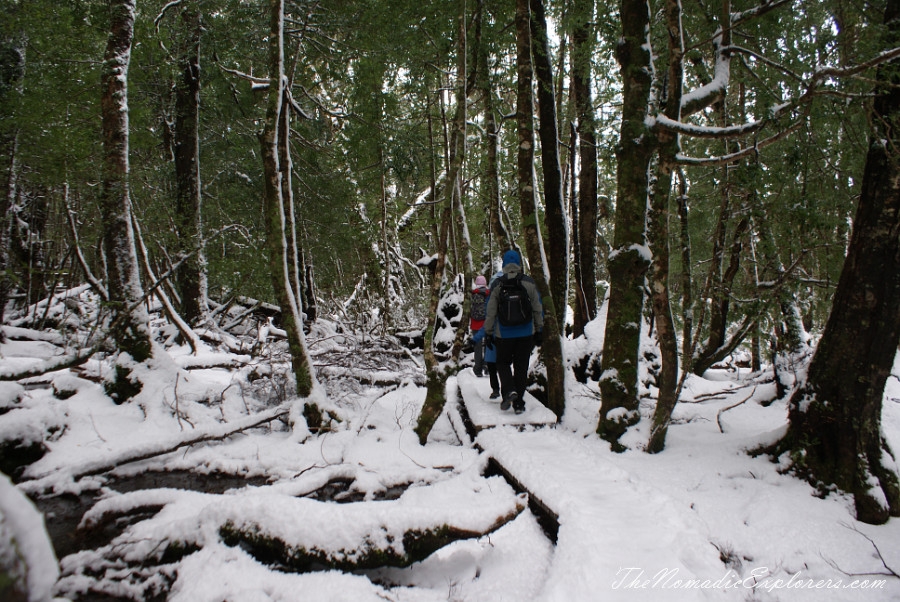 Australia, Tasmania, North West, Tasmania, Day 2. Cradle Mountain - Lake St Clair National Park. ‘Christmas’ in November, Snow, Dove Lake Circuit, , 