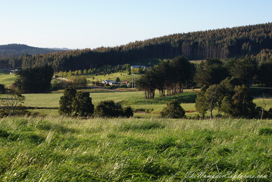 Australia, Tasmania, North West, Tasmania, Day 6. Stanley. ‘The Nut’ walk and meeting with echidnas! , , 