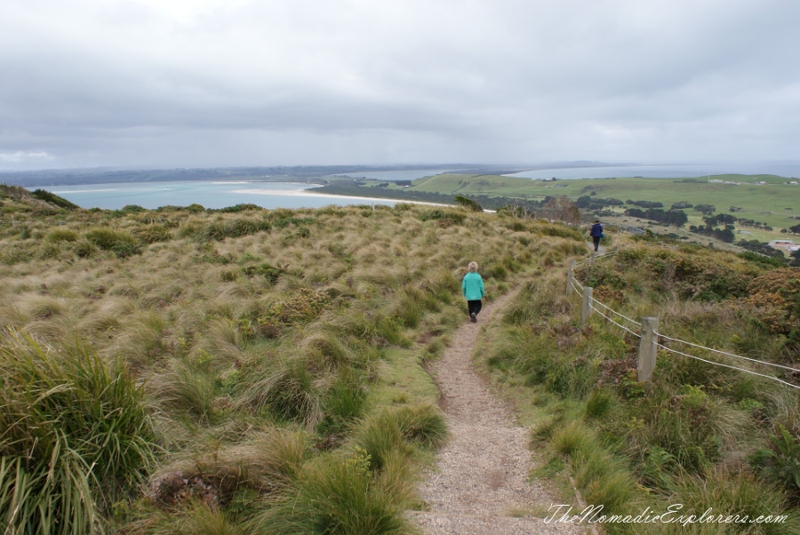 Australia, Tasmania, North West, Tasmania, Day 6. Stanley. ‘The Nut’ walk and meeting with echidnas! , , 