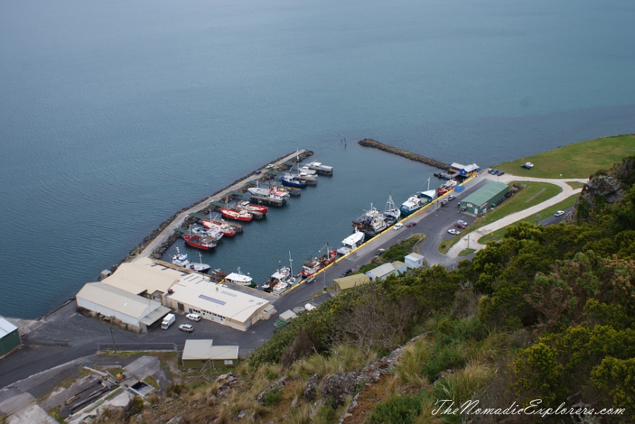 Australia, Tasmania, North West, Tasmania, Day 6. Stanley. ‘The Nut’ walk and meeting with echidnas! , , 