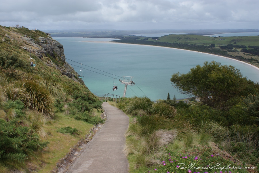 Australia, Tasmania, North West, Tasmania, Day 6. Stanley. ‘The Nut’ walk and meeting with echidnas! , , 