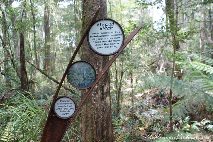 Australia, Tasmania, North West, Tasmania, Day 6. Tarkine Forest Adventure near Smithton, , 