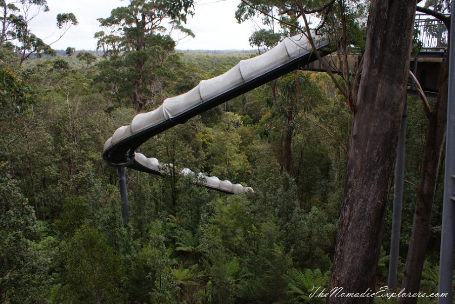 Australia, Tasmania, North West, Tasmania, Day 6. Tarkine Forest Adventure near Smithton, , 