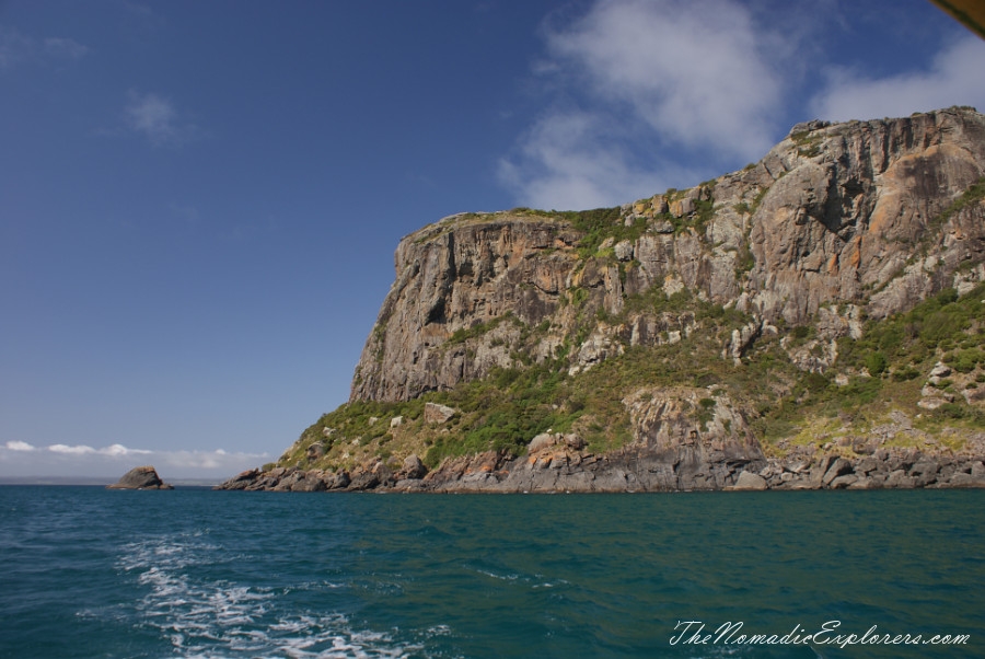 Australia, Tasmania, North West, Tasmania, Day 7. Stanley Seals Cruise, , 