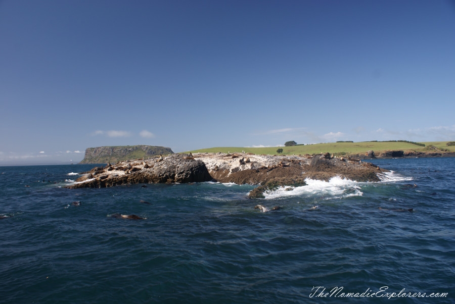 Australia, Tasmania, North West, Tasmania, Day 7. Stanley Seals Cruise, , 