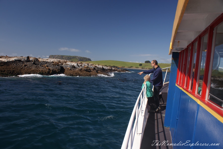 Australia, Tasmania, North West, Tasmania, Day 7. Stanley Seals Cruise, , 