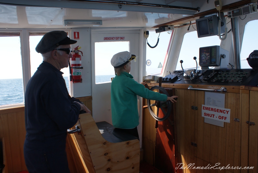 Australia, Tasmania, North West, Tasmania, Day 7. Stanley Seals Cruise, , 