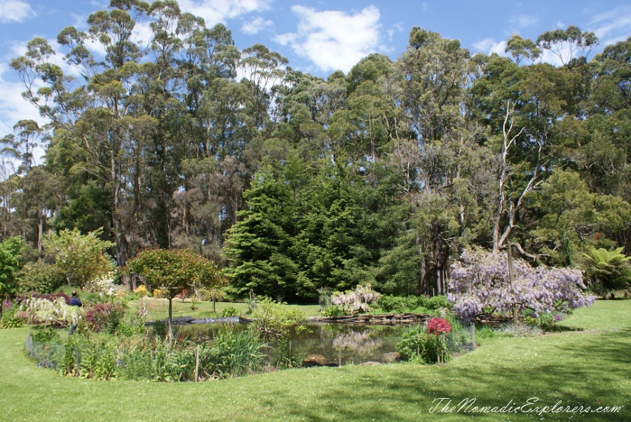 Australia, Tasmania, North West, Tasmania, Day 7. Spring in Allendale Gardens, Smithton, , 