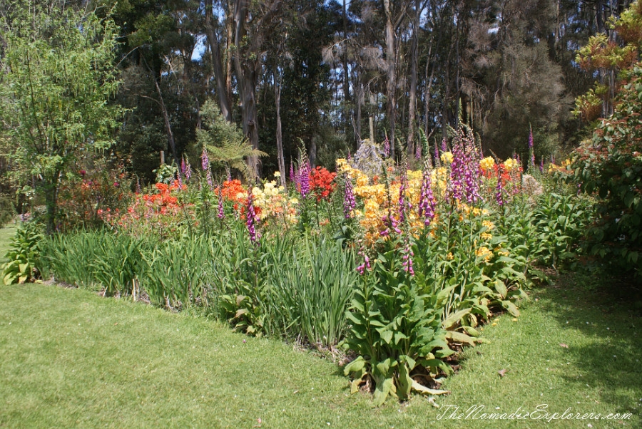 Australia, Tasmania, North West, Tasmania, Day 7. Spring in Allendale Gardens, Smithton, , 