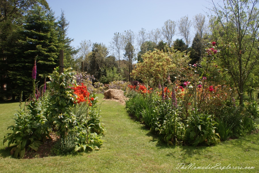 Australia, Tasmania, North West, Tasmania, Day 7. Spring in Allendale Gardens, Smithton, , 