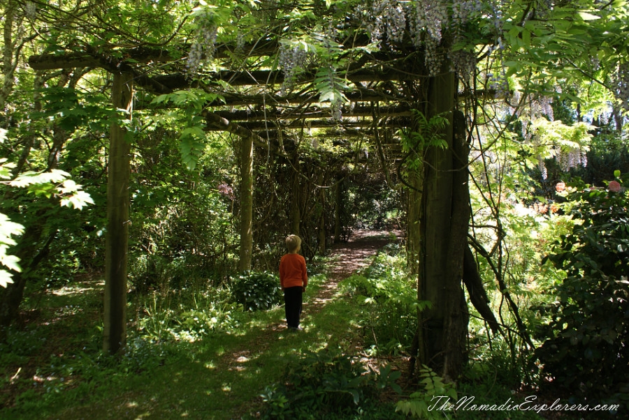 Australia, Tasmania, North West, Tasmania, Day 7. Spring in Allendale Gardens, Smithton, , 