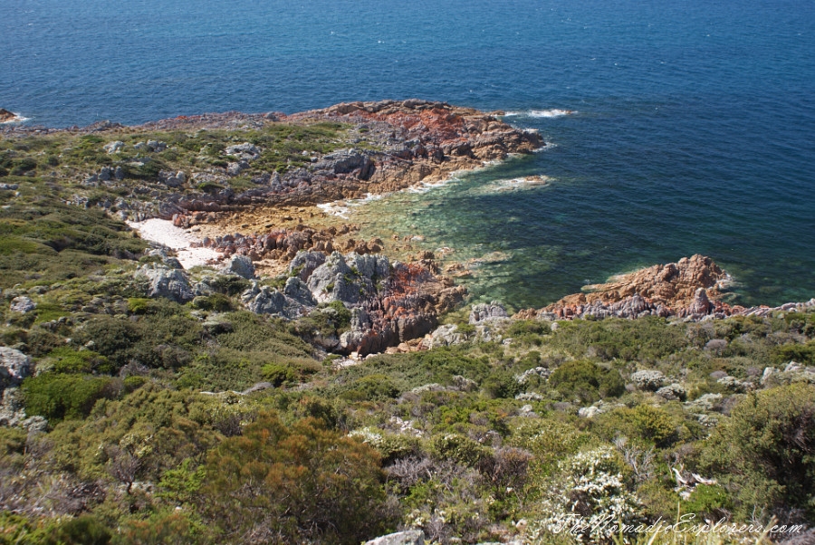 Australia, Tasmania, North West, Tasmania, Day 7. From Smithton to Burnie. Rocky Cape, Table Cape, Cape Tourville Lighthouse. Penguins and Platypus in Burnie., , 