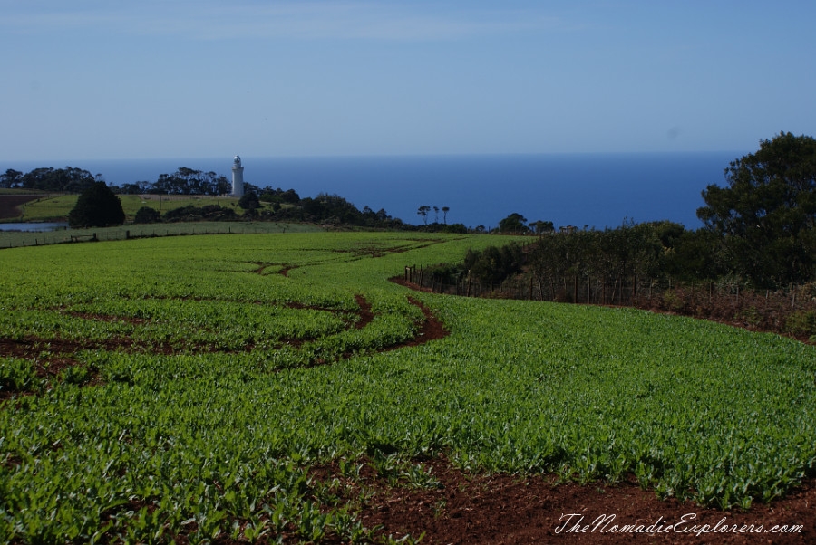 Australia, Tasmania, North West, Tasmania, Day 7. From Smithton to Burnie. Rocky Cape, Table Cape, Cape Tourville Lighthouse. Penguins and Platypus in Burnie., , 