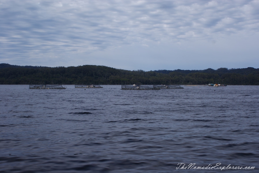 Australia, Tasmania, West Coast, Tasmania, Day 4. Gordon River Cruise with World Heritage Cruises company, , 