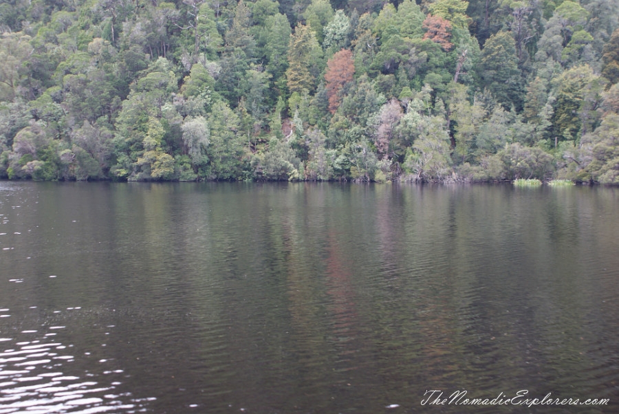 Australia, Tasmania, West Coast, Tasmania, Day 4. Gordon River Cruise with World Heritage Cruises company, , 