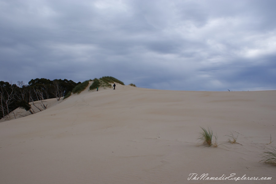 Australia, Tasmania, West Coast, Tasmania, Day 4. Henty Dunes near Strahan., , 