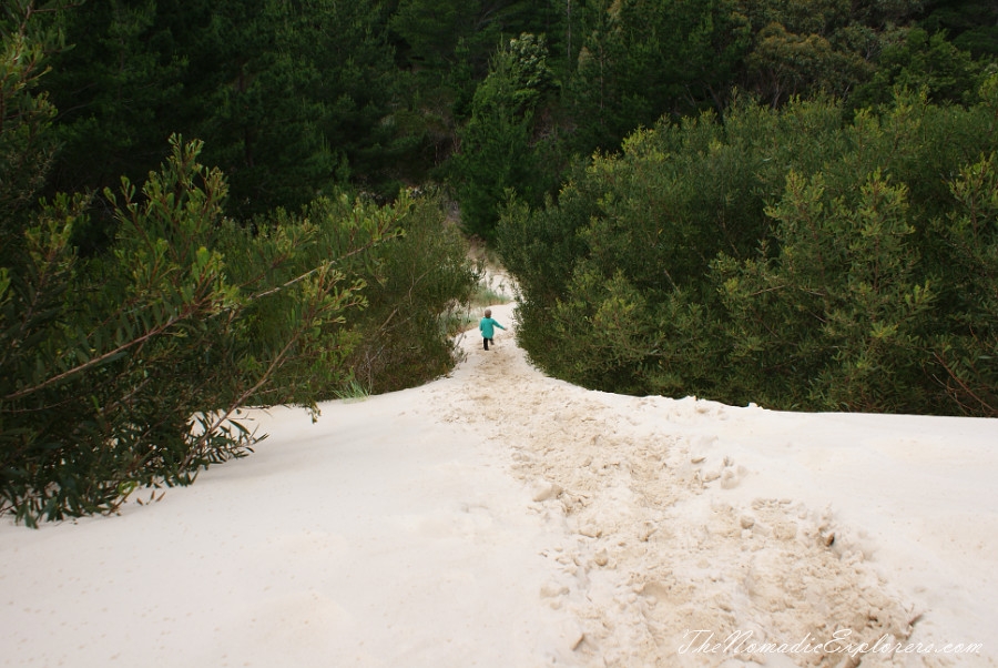 Australia, Tasmania, West Coast, Tasmania, Day 4. Henty Dunes near Strahan., , 