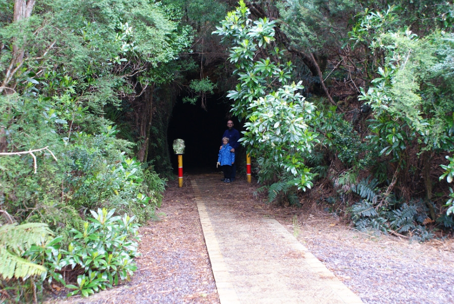 Australia, Tasmania, West Coast, Тасмания, день 5. Zeehan, музей West Coast Pioneer Memorial Museum, Australia, Tasmania, West Coast, Tasmania, Day 5. Zeehan: West Coast Pioneer Memorial Museum, Spray Tunnel Loop