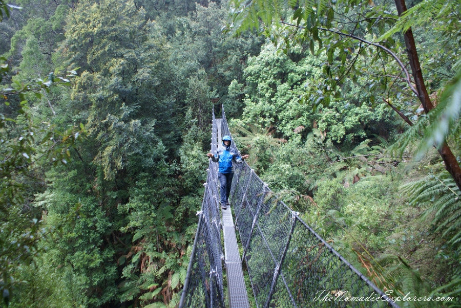 Australia, Tasmania, West Coast, Tasmania, Day 5. Walk to Montezuma Falls near Rosebery, , 