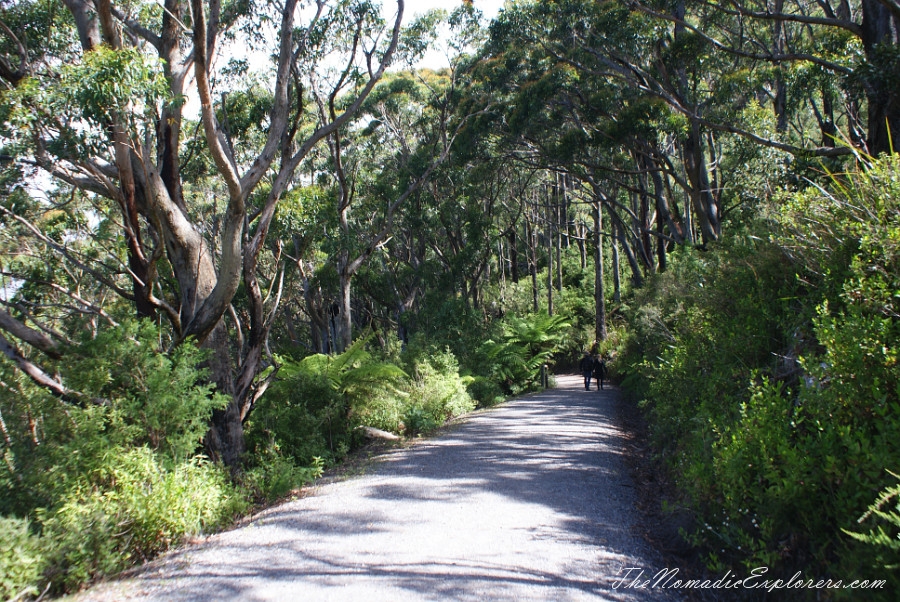 Australia, Victoria, Gippsland, A day in Wilsons Promontory National Park: Mount Oberon, Squeaky Beach, Tidal River / Norman Beach, , 