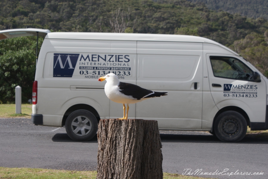 Australia, Victoria, Gippsland, A day in Wilsons Promontory National Park: Mount Oberon, Squeaky Beach, Tidal River / Norman Beach, , 