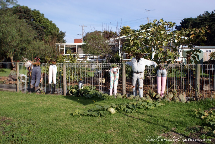 Australia, Victoria, Great Ocean Road, Cycling on the Bellarine Peninsula Rail Trail, , 