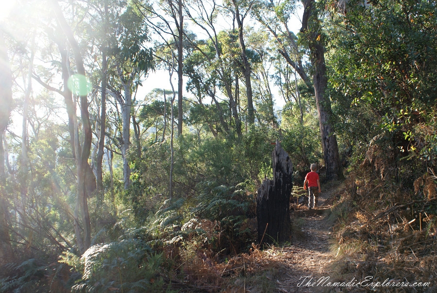 Australia, Victoria, High Country, Mount Bogong Conquestathon: Mount Bogong Circuit via Staircase Spur and Eskdale Spur , , 