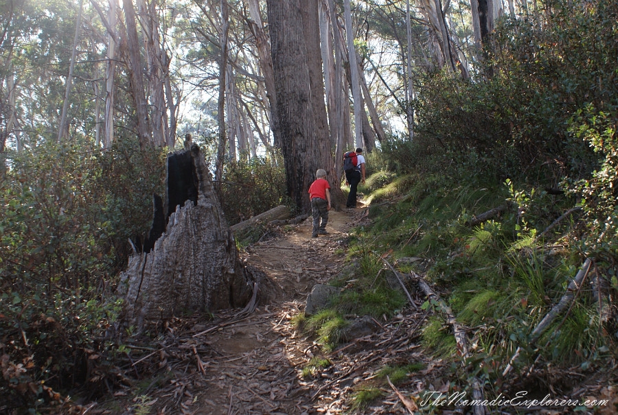 Australia, Victoria, High Country, Mount Bogong Conquestathon: Mount Bogong Circuit via Staircase Spur and Eskdale Spur , , 