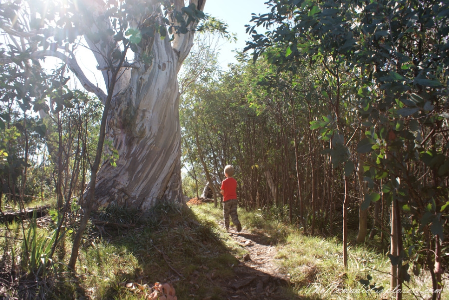 Australia, Victoria, High Country, Mount Bogong Conquestathon: Mount Bogong Circuit via Staircase Spur and Eskdale Spur , , 