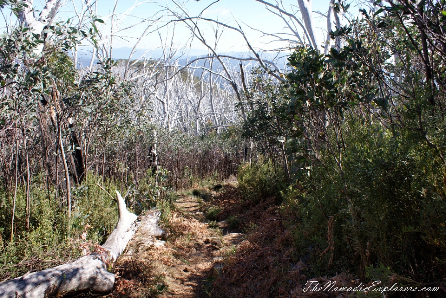 Australia, Victoria, High Country, Mount Bogong Conquestathon: Mount Bogong Circuit via Staircase Spur and Eskdale Spur , , 