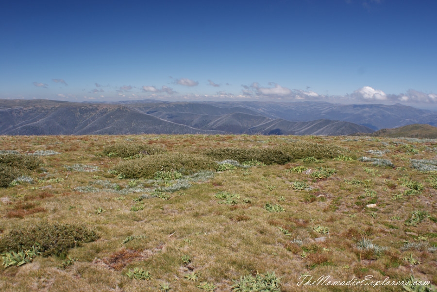 Australia, Victoria, High Country, Mount Bogong Conquestathon: Mount Bogong Circuit via Staircase Spur and Eskdale Spur , , 