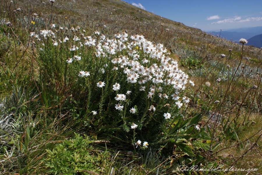 Australia, Victoria, High Country, Mount Bogong Conquestathon: Mount Bogong Circuit via Staircase Spur and Eskdale Spur , , 