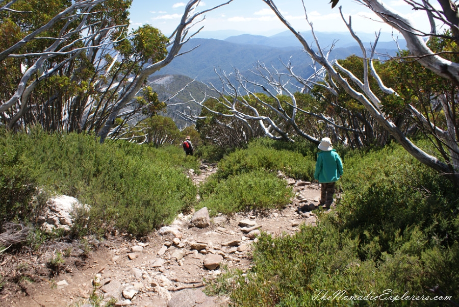 Australia, Victoria, High Country, Mount Bogong Conquestathon: Mount Bogong Circuit via Staircase Spur and Eskdale Spur , , 