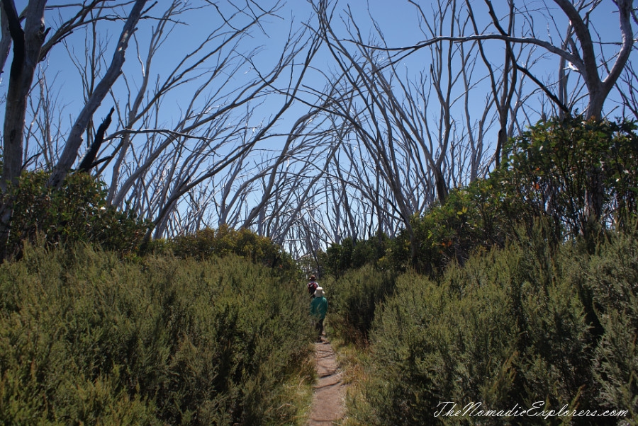 Australia, Victoria, High Country, Mount Bogong Conquestathon: Mount Bogong Circuit via Staircase Spur and Eskdale Spur , , 