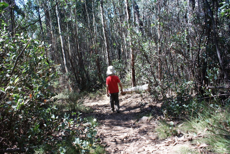 Australia, Victoria, High Country, Mount Bogong Conquestathon: Mount Bogong Circuit via Staircase Spur and Eskdale Spur , , 