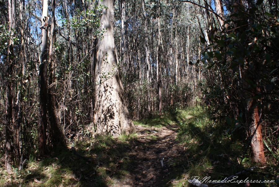 Australia, Victoria, High Country, Mount Bogong Conquestathon: Mount Bogong Circuit via Staircase Spur and Eskdale Spur , , 