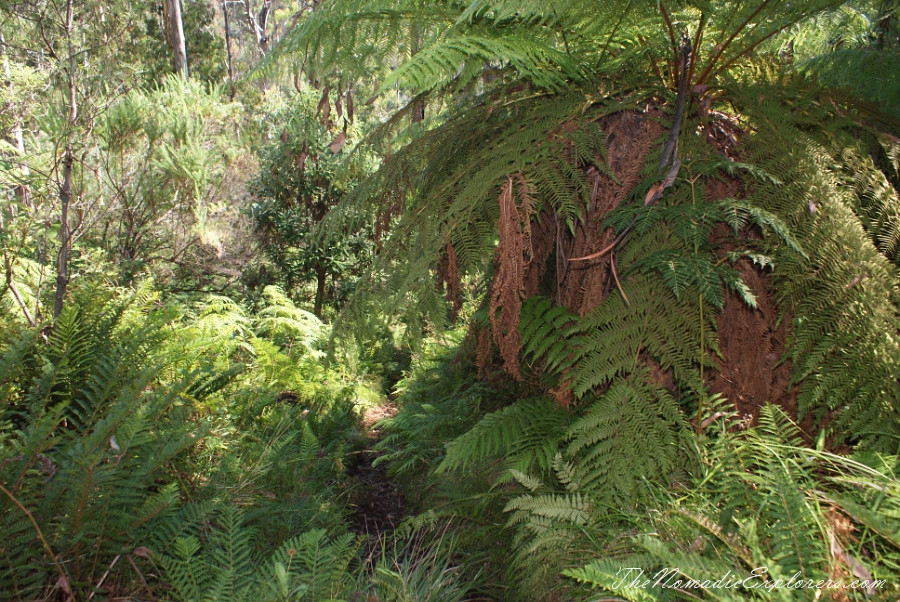 Australia, Victoria, High Country, Mount Bogong Conquestathon: Mount Bogong Circuit via Staircase Spur and Eskdale Spur , , 