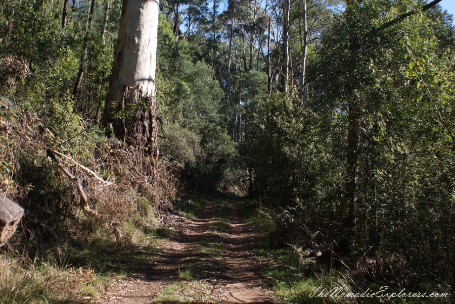 Australia, Victoria, High Country, Mount Bogong Conquestathon: Mount Bogong Circuit via Staircase Spur and Eskdale Spur , , 