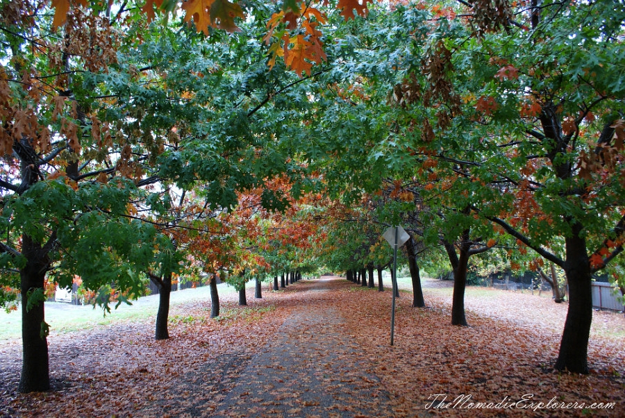 Australia, Victoria, High Country, Cycling the Murray to Mountains Rail Trail (partly): Beechworth - Everton &amp; Bright - Myrtleford sections, , 