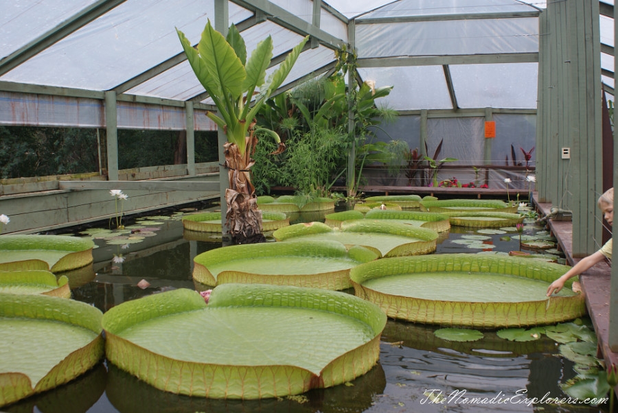 Australia, Victoria, Yarra Valley &amp; Dandenong Ranges, A walk in Blue Lotus Water Gardens, , 