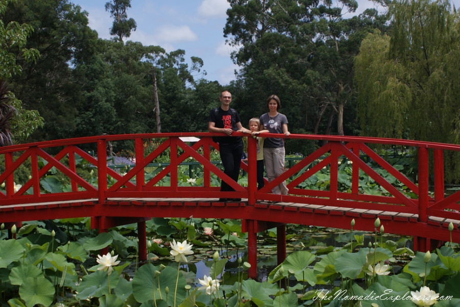 Australia, Victoria, Yarra Valley &amp; Dandenong Ranges, A walk in Blue Lotus Water Gardens, , 